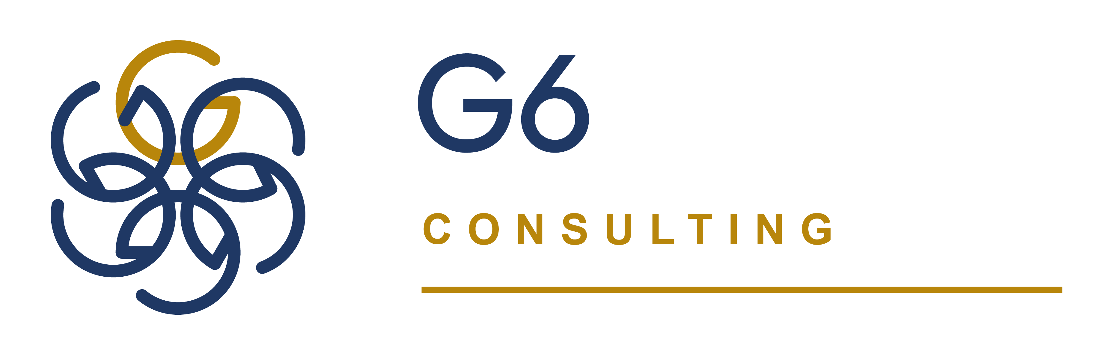 G6 Consulting